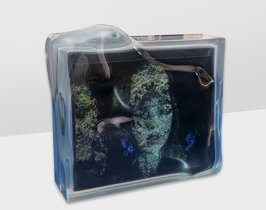 Take5 Tony Oursler A Walk In The Forest Julien Gremaud 012